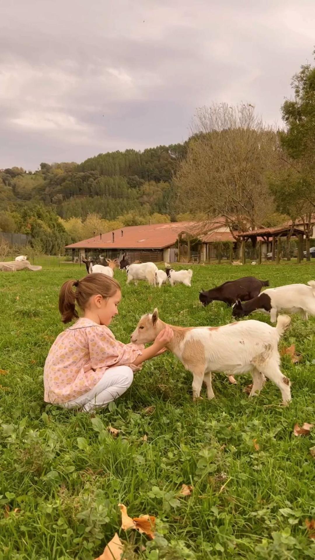 Casa Rural Jesuskoa Zumaia Eksteriør bilde